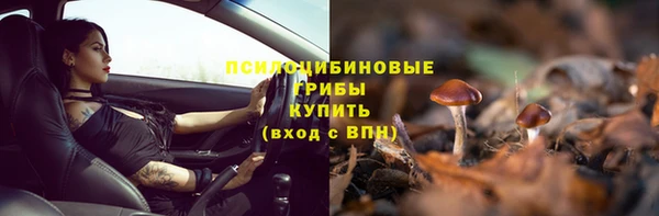 прущая мука Белокуриха