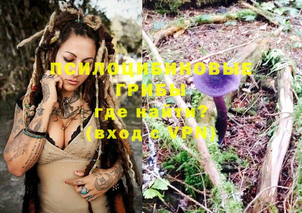 бошки Тавда