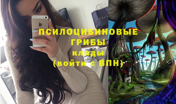прущая мука Белокуриха